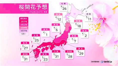 開花|桜ナビ 2024｜都道府県ごとの開花・満開